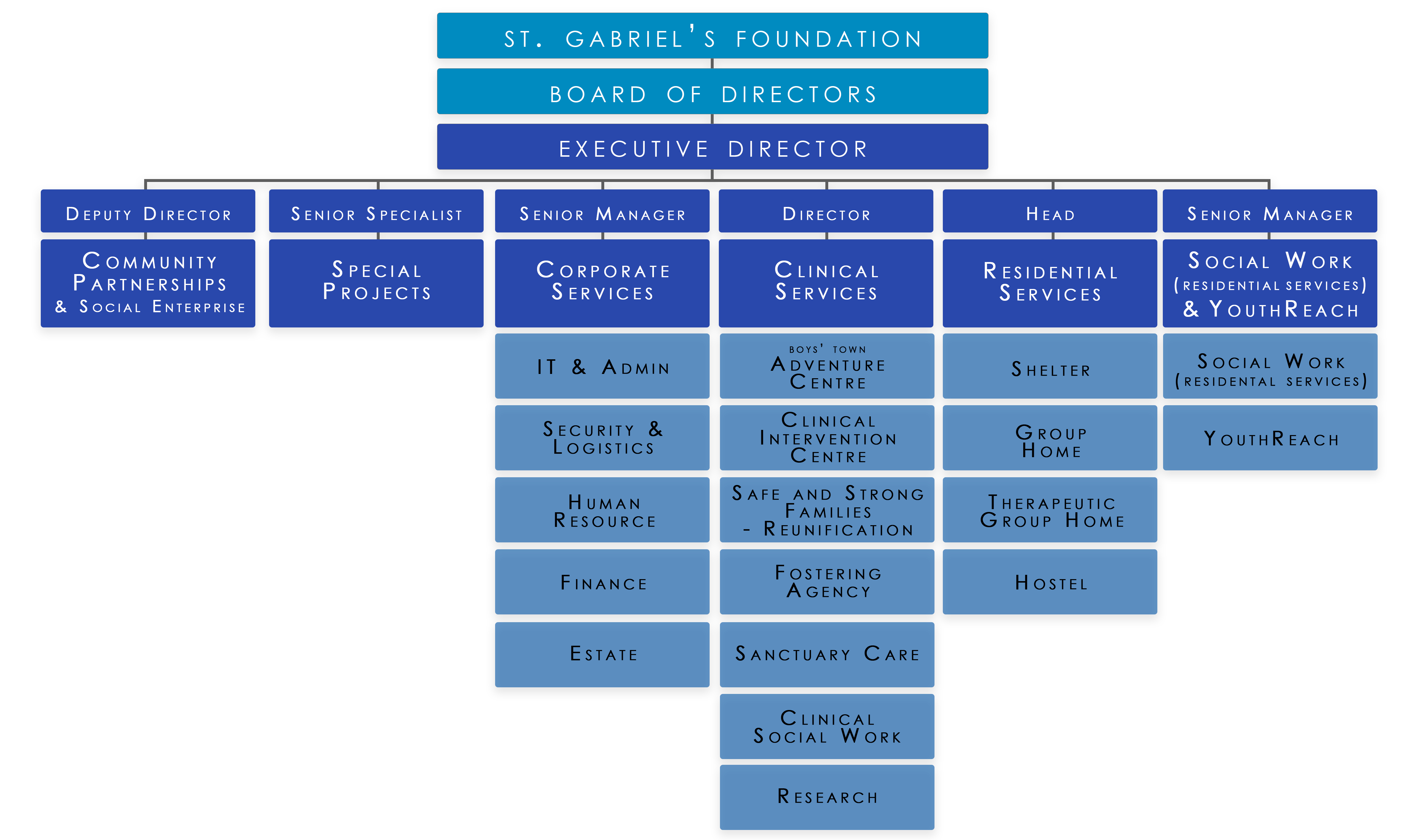 Msf Org Chart